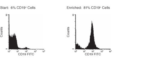 FACS Histogram Results With RosetteSep™ Human B Cell Enrichment Cocktail