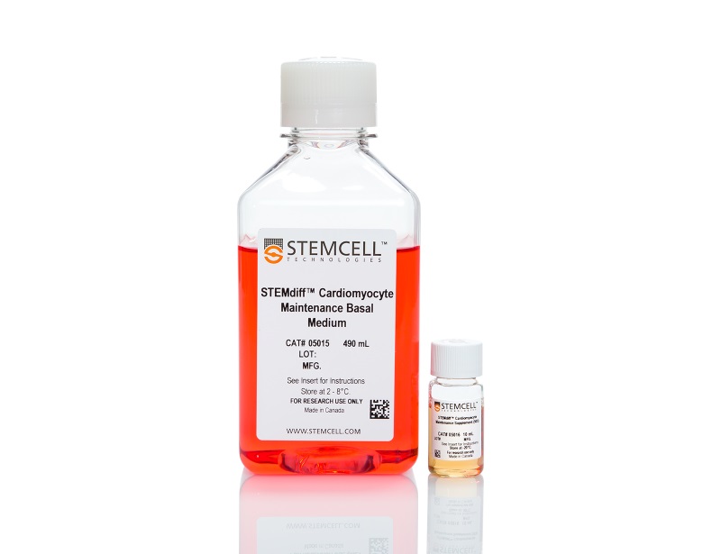 STEMdiff™ Cardiomyocyte Maintenance Kit