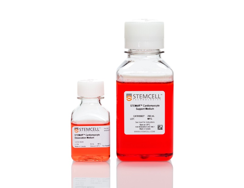 STEMdiff™ Cardiomyocyte Dissociation Kit