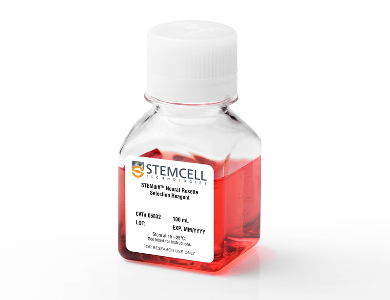 STEMdiff™ Neural Rosette Selection Reagent