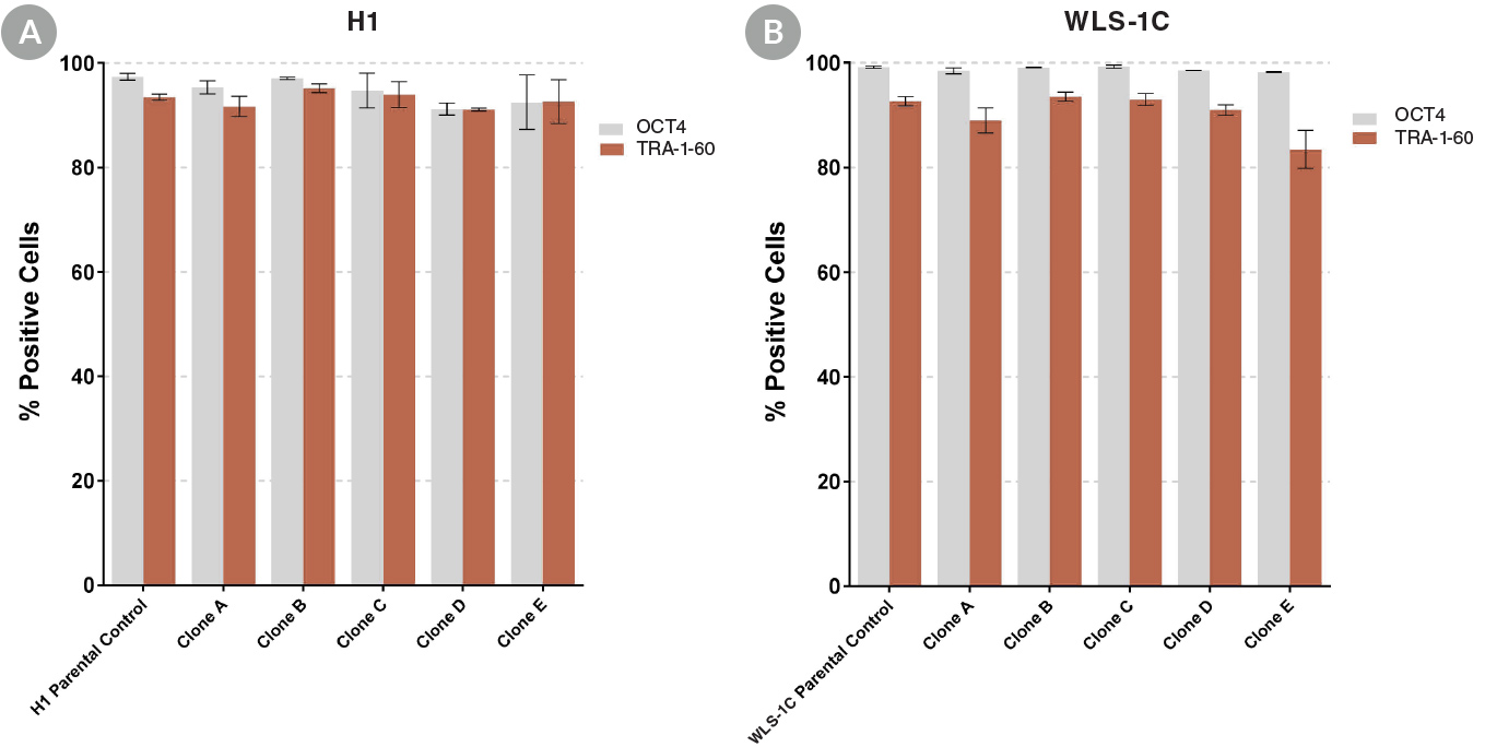 Clonal Cell Lines Established with CloneR™ Express High Levels of Undifferentiated Cell Markers