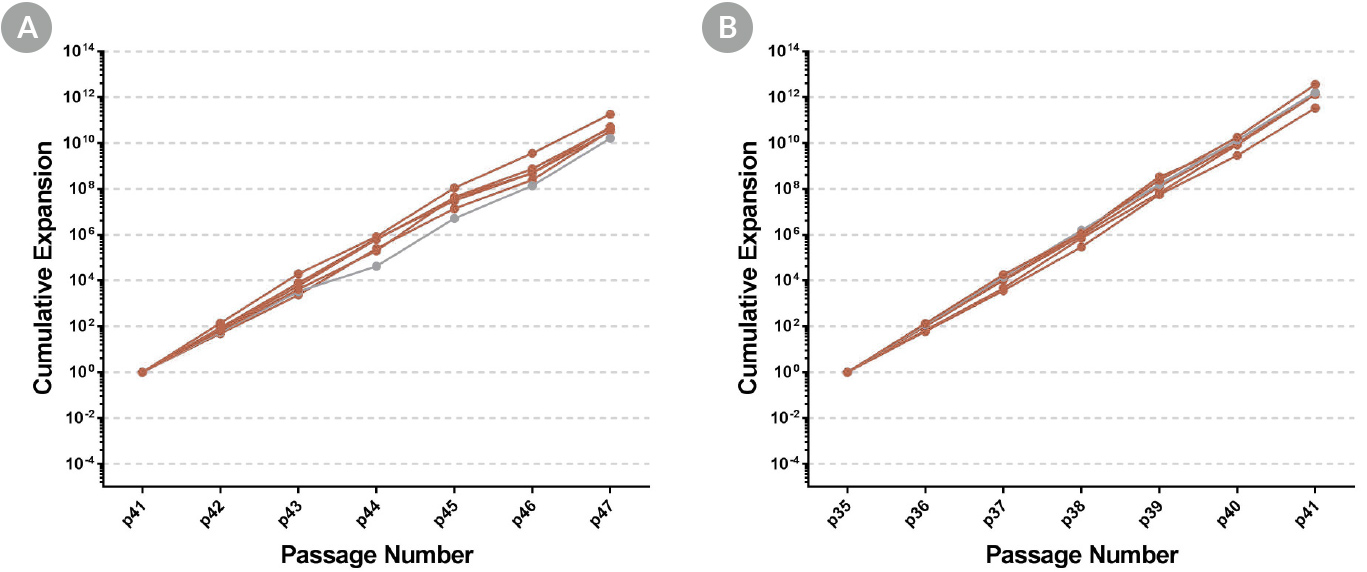 Clonal Cell Lines Established Using CloneR™ Display Normal Growth Rates