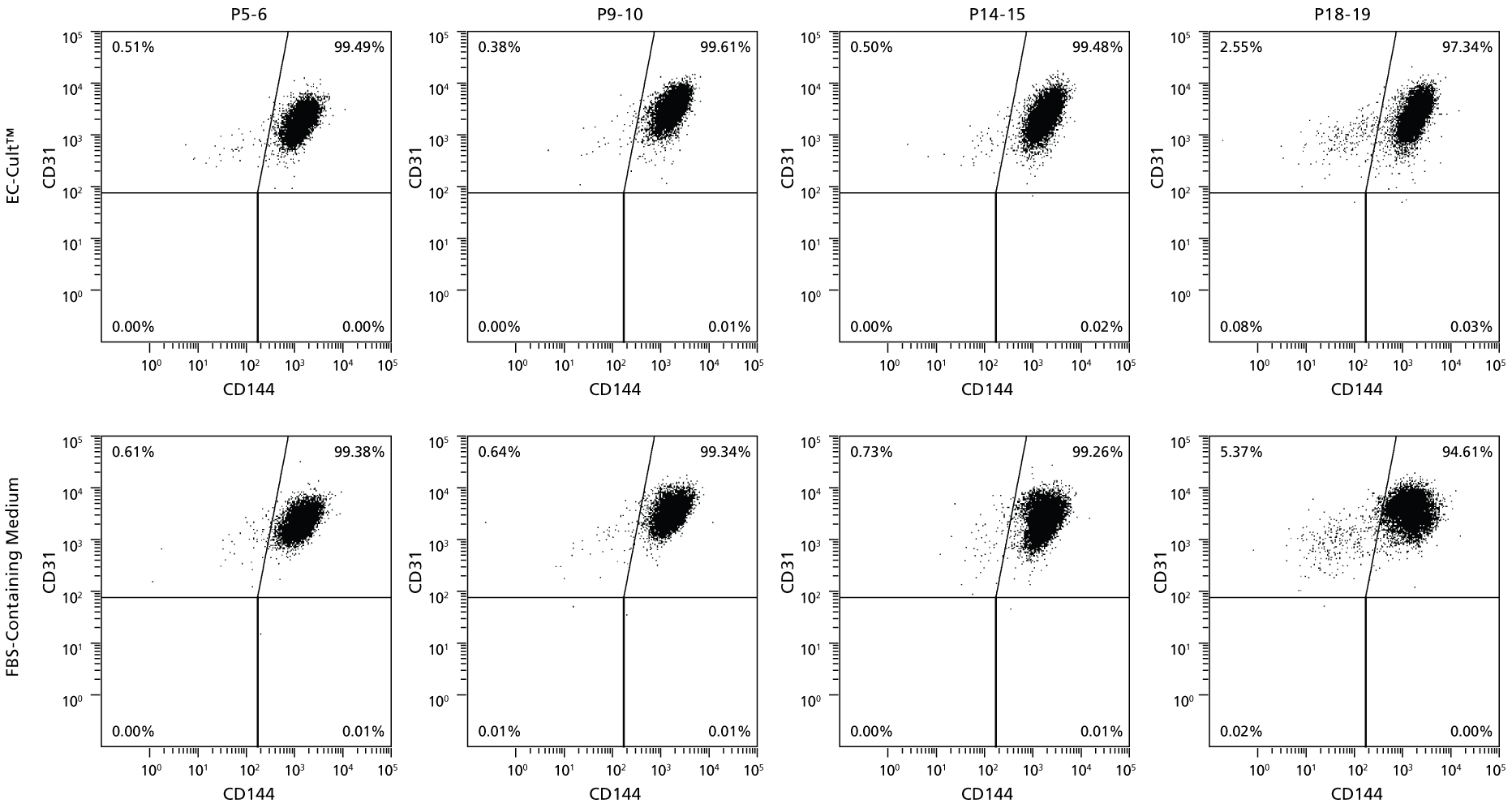 HUVECs Cultured Long-Term in EC-Cult™ Medium Maintain High Levels of Endothelial Markers