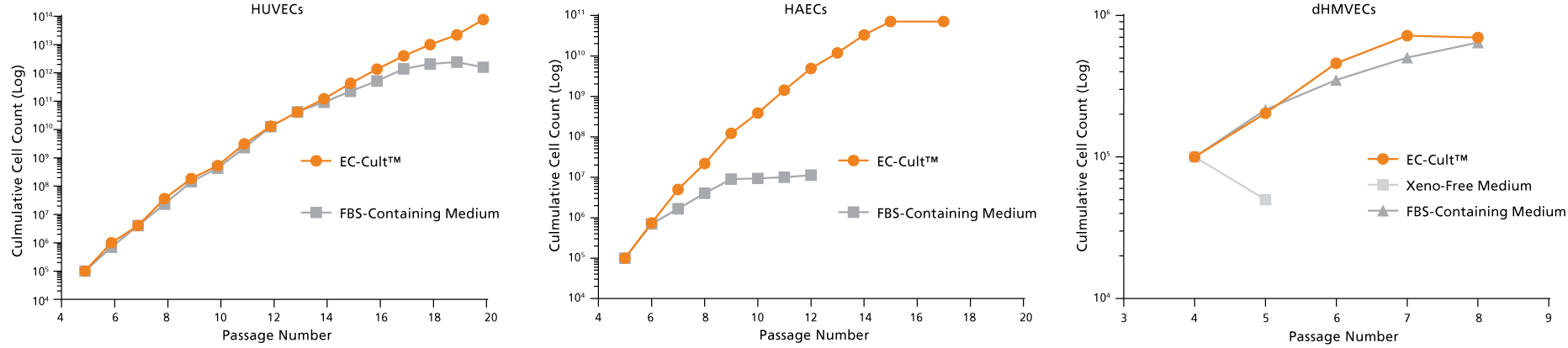 EC-Cult™ Medium Can Be Used to Expand Different Endothelial Cell Types