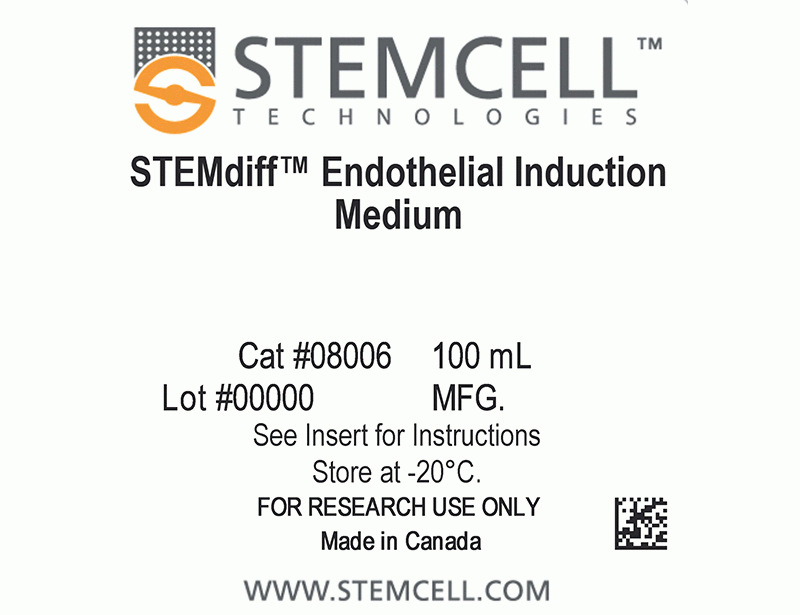 STEMdiff™ Endothelial Differentiation Kit