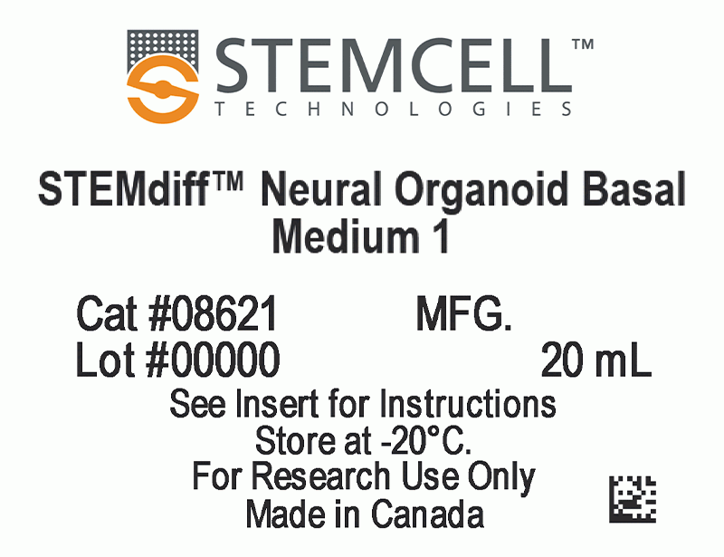 STEMdiff™ Ventral Forebrain Organoid Differentiation Kit