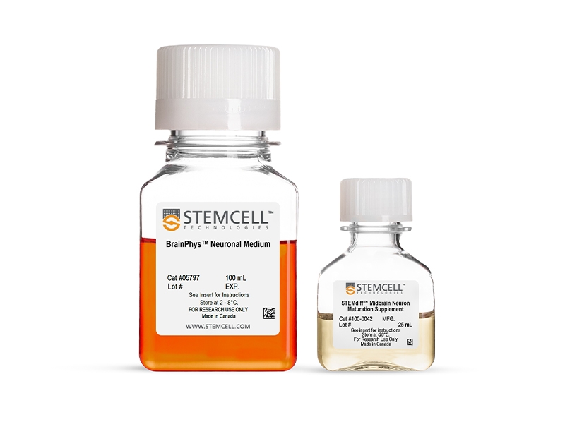 STEMdiff™ Midbrain Neuron Maturation Kit