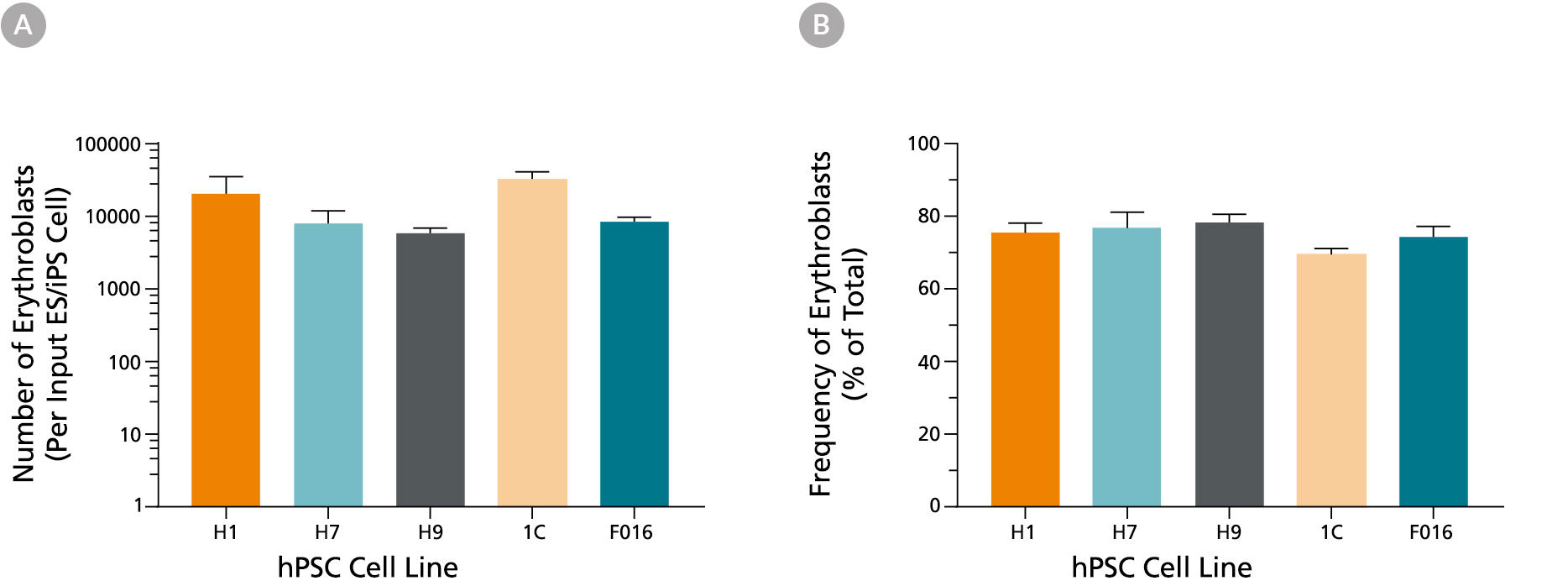 Figure showing average cell numbers of erythroid cells generated from pluripotent stem cells using STEMdiff™ Erythroid Kit