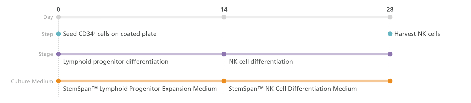 Differentiate PSC-Derived CD34+ Cells to NK Cells