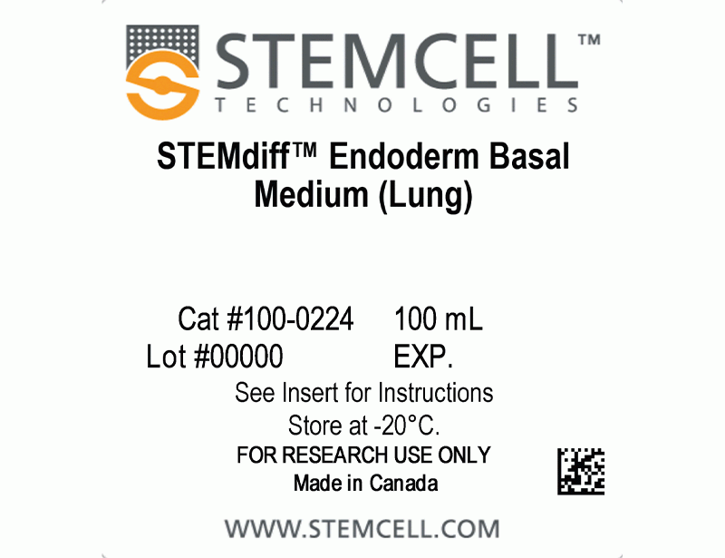 STEMdiff™ Branching Lung Organoid Kit