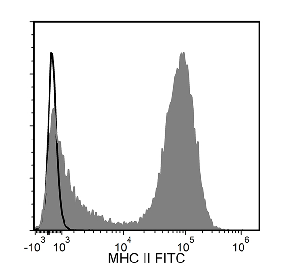 Figure showing flow cytometry analysis of C57BL/6 mouse splenocytes labeled with Anti-Mouse MHC II Antibody, Clone M5/114.15.2, FITC or a rat IgG2b, kappa FITC isotype control antibody.