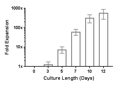 Robust Human T Cell Expansion with ImmunoCult™ Human CD3/CD28/CD2 T Cell Activator