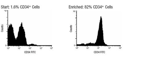 Typical StemSep™ Hematopoietic Progenitor Cell Profile