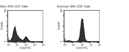 Typical RosetteSep™ HLA T Cell Enrichment Profile