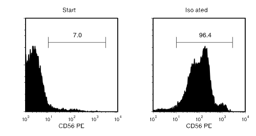 Typical EasySep™ Human CD56 Isolation Profile