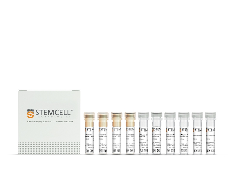 EasySep™ Human IgG+ Memory B Cell Isolation Kit