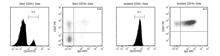 FACS Profile Results with EasySep™ Human IgG+ Memory B Cell Isolation Kit