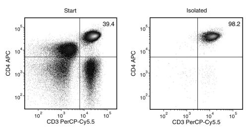 CD4+ T cell separation using EasySep™ Human CD4+ T Cell Isolation Kit