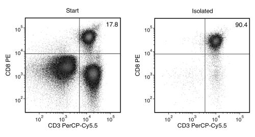 EasySep™ Human CD8+ T Cell Isolation Kit