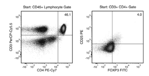 Typical Treg Isolation Using EasySep™ Human CD4+CD127lowCD25+ Regulatory T Cell Isolation Kit