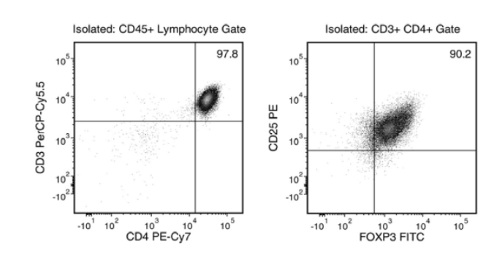 EasySep™ Human CD4+CD127lowCD25+ Regulatory T Cell Isolation Kit Protocol