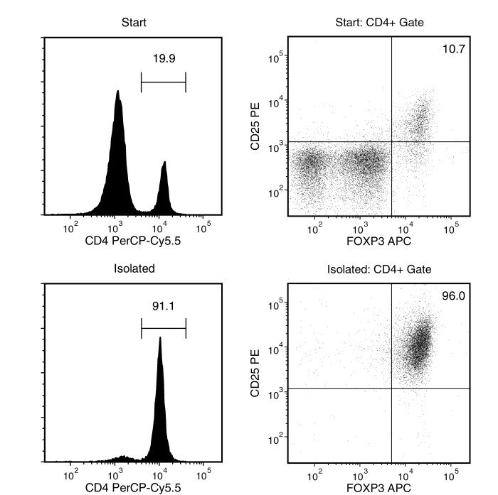 Typical EasySep™ Mouse CD25 Regulatory T Cell Positive Selection Profile