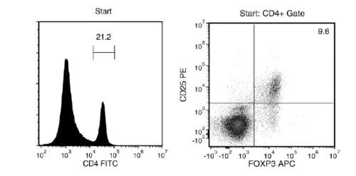 FACS Histogram Results with EasySep™ Mouse CD4+CD25+ Regulatory T Cell Isolation Kit II