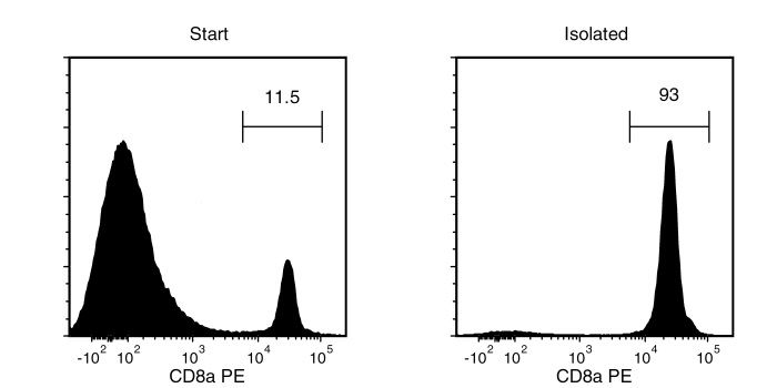 Typical EasySep™ CD8a Positive Selection Profile