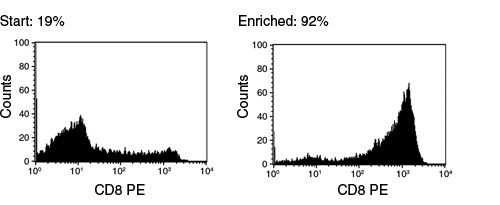 FACS Histogram Results Using EasySep™ Human CD8+ T Cell Enrichment Kit