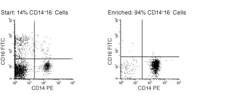 FACS Profile Results Using EasySep™ Human Monocyte Enrichment Kit