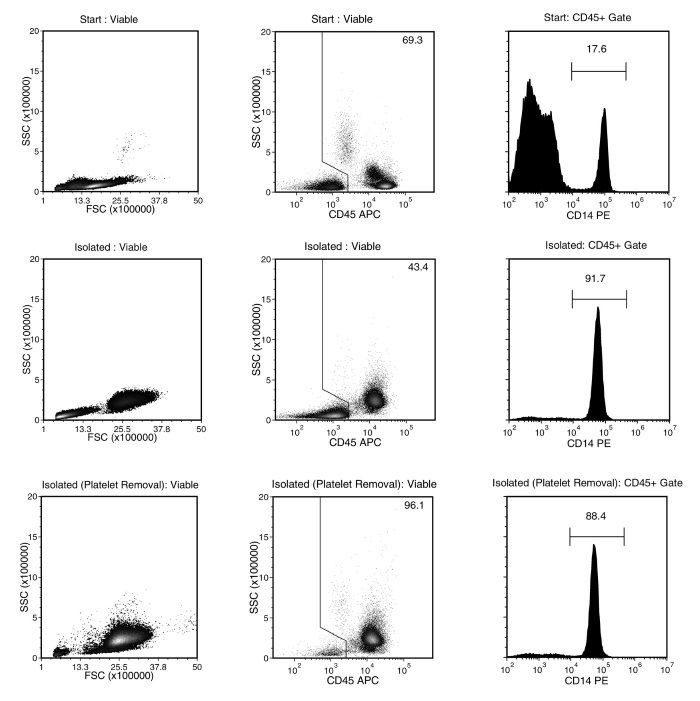 Typical monocyte separation using EasySep™ Human Monocyte Isolation Kit