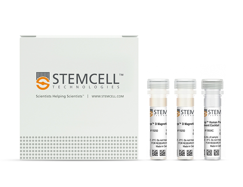 EasySep™ Human Pan-B Cell Enrichment Kit