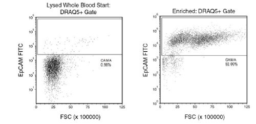 CAMA cells were seeded into whole blood at a starting frequency of 0.98%. The CAMA cell (EpCAM+) content of the enriched fraction is 92.02% with a 3.8 log depletion of CD45+ cells