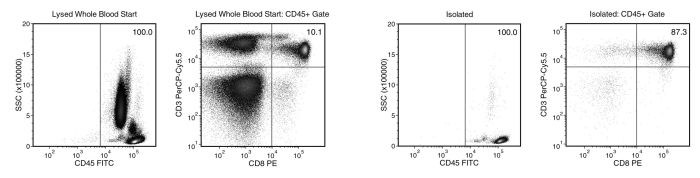 Starting with human whole blood from normal healthy donors, the typical CD8+ T cell (CD3+CD8+) content of the non-lysed final isolated fraction is 82.4 ± 4.9% (gated on CD45) or 81.6 ± 4.9% (not gated on CD45).