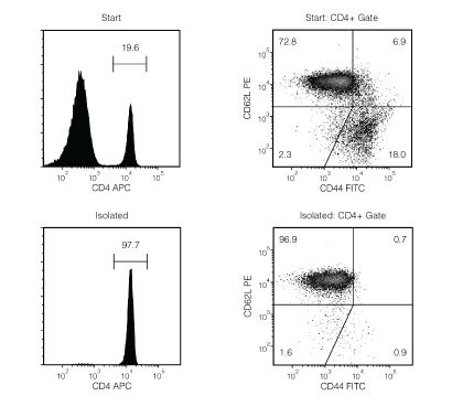 Typical EasySep™ Mouse Naïve CD4+ T Cell Isolation Profile