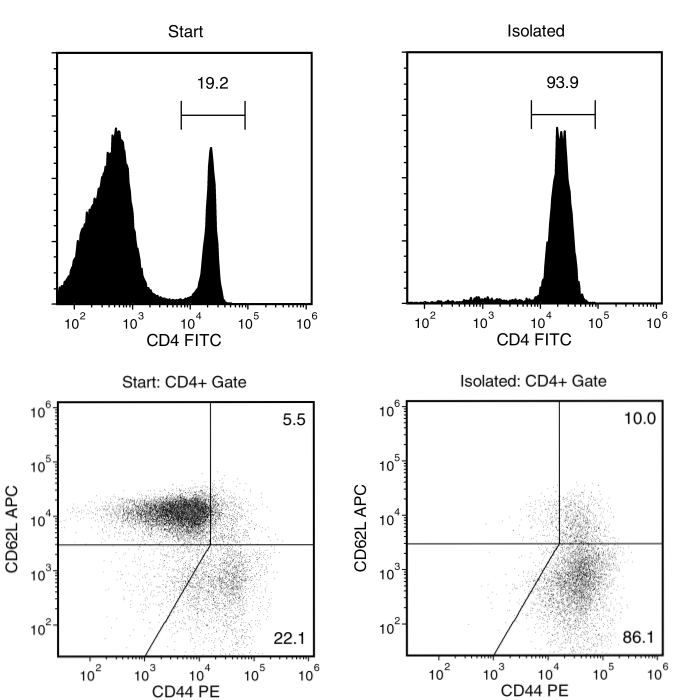 Typical EasySet™ Mouse Memory CD4+ T Cell Isolation Profile