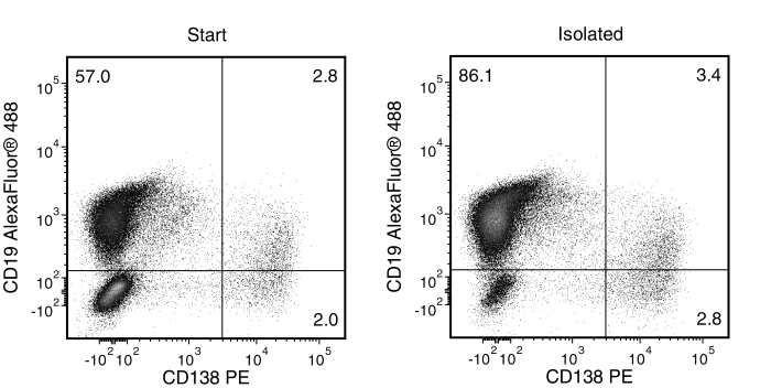 Typical EasySep™ Mouse Pan-B Cell Isolation Profile of an Immunized C57BL/6 Mouse