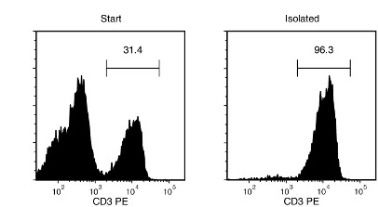 Typical EasySep™ Mouse T Cell Isolation Profile