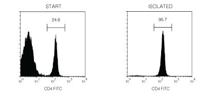 Typical EasySep™ Mouse CD4+ T Cell Isolation Profile