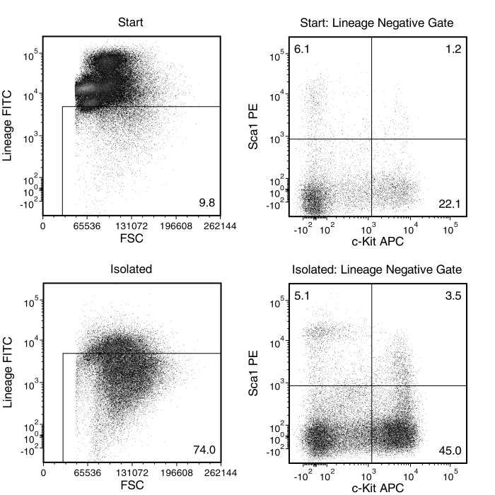 Typical EasySep™ Mouse Hematopoietic Progenitor Cell Isolation Profile