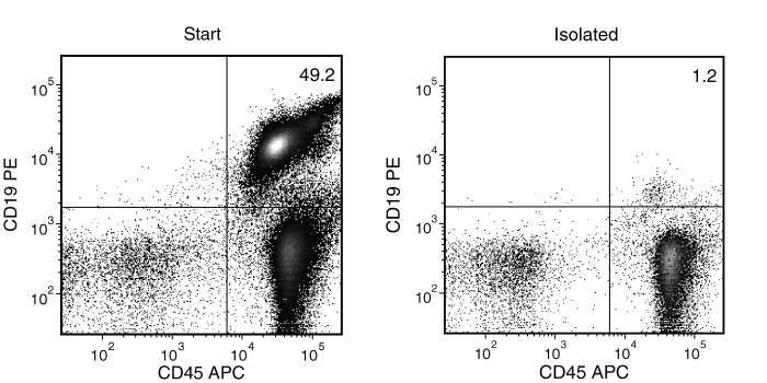 Typical Mouse Streptavidin Rapidspheres™ CD19 (CD19+CD45+) Depletion Profile