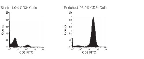 FACS Histogram Results with EasySep™ HLA Whole Blood T Cell Enrichment Kit