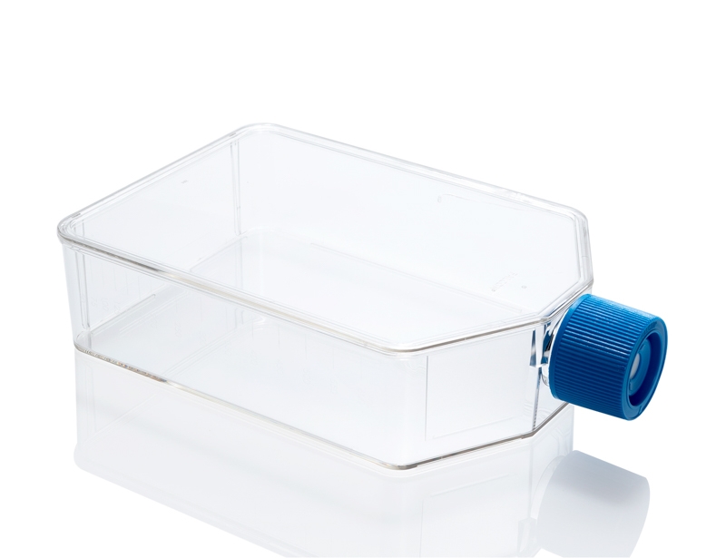 Cell Culture Flask