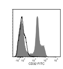 Data for Unconjugated