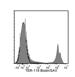 Image showing flow cytometry analysis of C57BL/6 mouse bone marrow cells labeled with Anti-Mouse TER-119 Antibody, Clone TER-119, Biotin followed by streptavidin (SAV) PE or a rat IgG2b, kappa isotype control antibody, Biotin followed by streptavidin (SAV) PE.