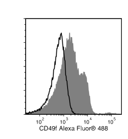 Data for Alexa Fluor® 488-Conjugated