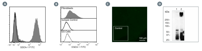 Data for Unconjugated