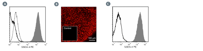 Data for PE-Conjugated