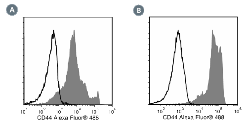 Data for Alexa Fluor® 488-Conjugated