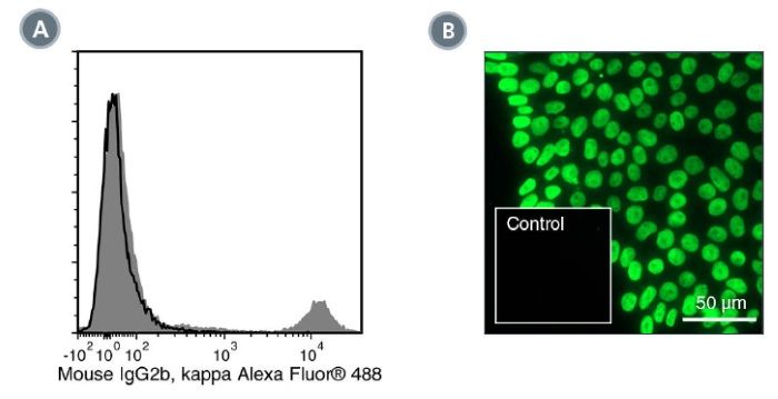 Data for Alexa Fluor® 488-Conjugated